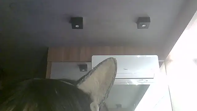 Snapshot of Skinny-Kitten chatting on July 11, 2026, 11:35 am Skinny-Kitten online show from July 11, 2026, 11:35 am