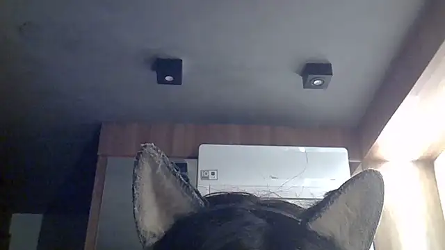 Snapshot of Skinny-Kitten chatting on July 12, 2026, 7:43 am Skinny-Kitten online show from July 12, 2026, 7:43 am