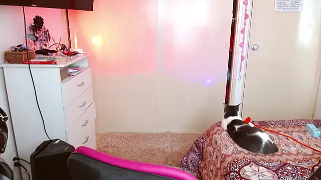 alisseallie online show from March 21, 2026, 2:31 pm