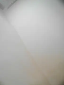 Snapshot of bestofyalcinturkey chatting on December 22, 2024, 10:28 am bestofyalcinturkey online show from December 22, 2024, 10:28 am