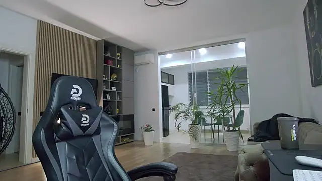 UbbeViking online show from January 19, 2025, 9:34 pm