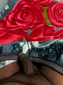 Snapshot of Honeydick7 chatting on October 8, 2025, 5:54 pm Honeydick7 online show from October 8, 2025, 5:54 pm