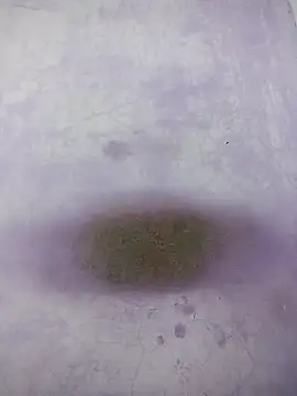 Snapshot of Kannadaboymanu chatting on March 18, 2025, 4:59 pm Kannadaboymanu online show from March 18, 2025, 4:59 pm