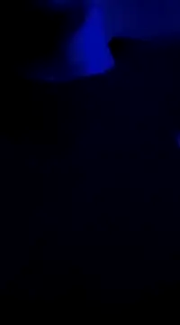 Midwestalpha online show from January 6, 2025, 10:02 am