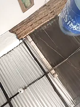 Yelly online show from February 4, 2026, 3:40 pm