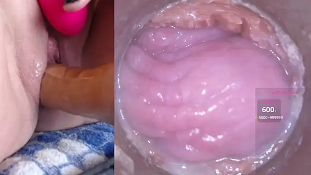 Snapshot of danigirl866 chatting on March 5, 2025, 6:12 pm danigirl866 online show from March 5, 2025, 6:12 pm