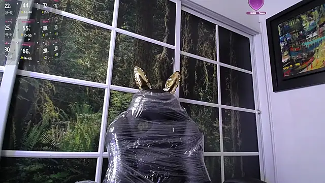 Snapshot of darshajaya chatting on January 16, 2025, 10:32 am darshajaya online show from January 16, 2025, 10:32 am