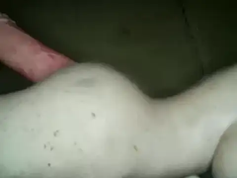 xxxlecram online show from March 4, 2025, 4:17 am