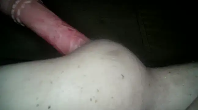 xxxlecram online show from March 12, 2025, 2:01 pm