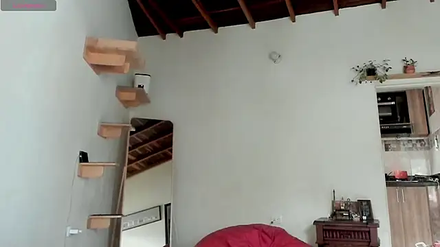 Rainbow leia online show from February 21, 2026, 7:26 pm