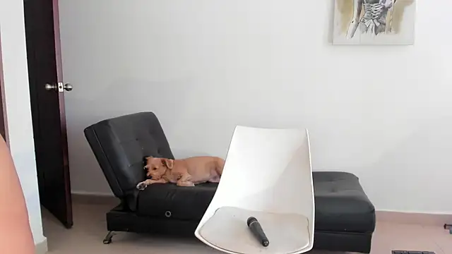 selene king2 online show from December 10, 2024, 6:17 pm