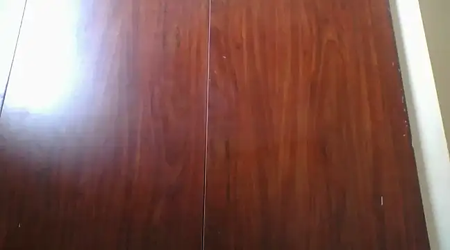 Snapshot of prettychic5 chatting on December 12, 2024, 12:33 pm prettychic5 online show from December 12, 2024, 12:33 pm