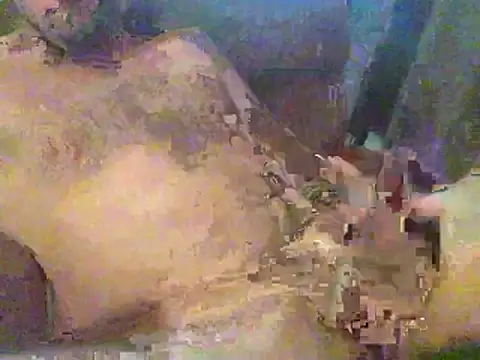 Snapshot of timmy88809 chatting on February 18, 2026, 4:47 pm timmy88809 online show from February 18, 2026, 4:47 pm