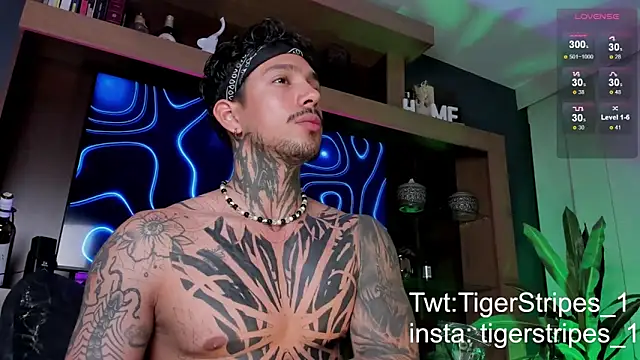 TigerStripes1  online show from March 9, 2025, 12:31 am