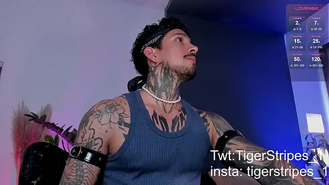 TigerStripes1  online show from March 19, 2025, 8:54 pm