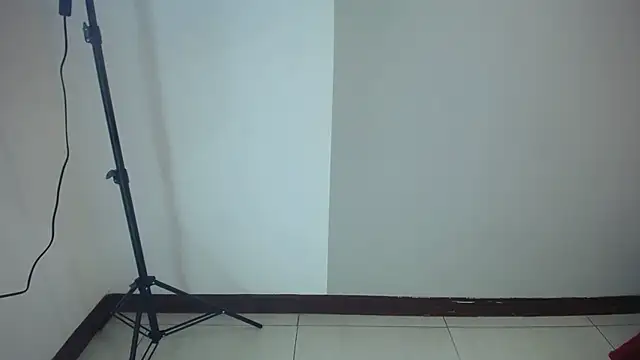 stefanvix202 online show from November 22, 2025, 4:22 am